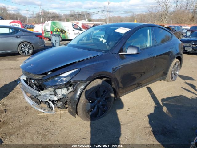 Photo 1 VIN: 7SAYGDED1RF184139 - TESLA MODEL Y 