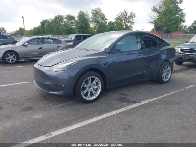 Photo 1 VIN: 7SAYGDED2PF931969 - TESLA MODEL Y 