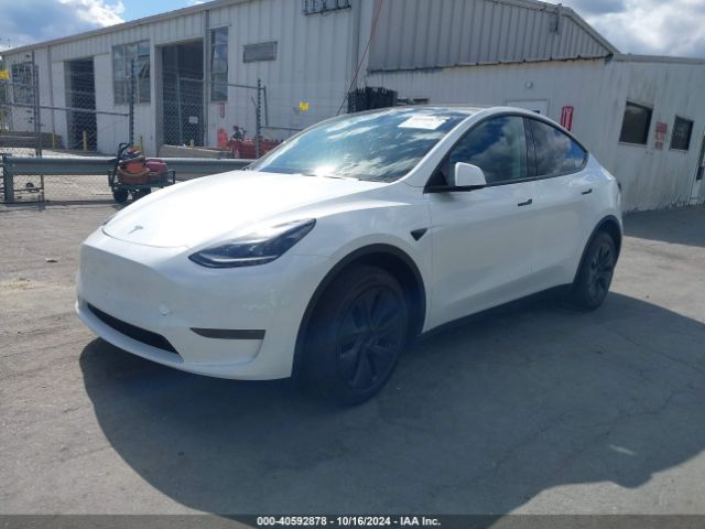 Photo 1 VIN: 7SAYGDED5RA333553 - TESLA MODEL Y 