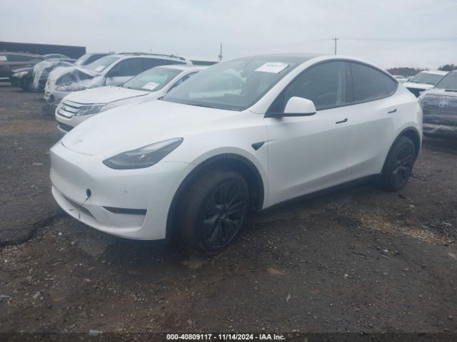 Photo 1 VIN: 7SAYGDED5RA333553 - TESLA MODEL Y 