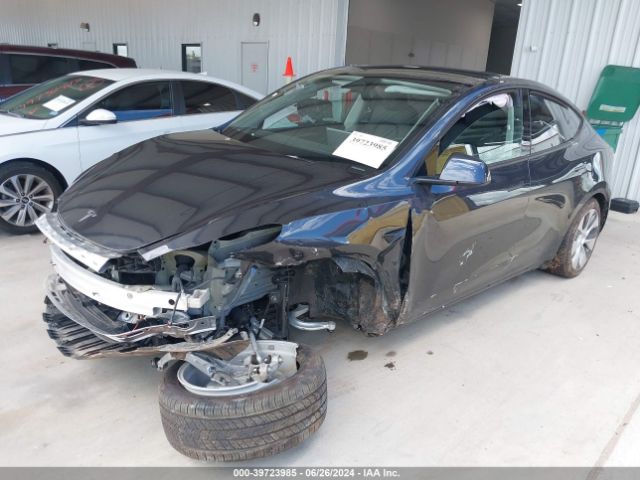 Photo 1 VIN: 7SAYGDED5RF034308 - TESLA MODEL Y 