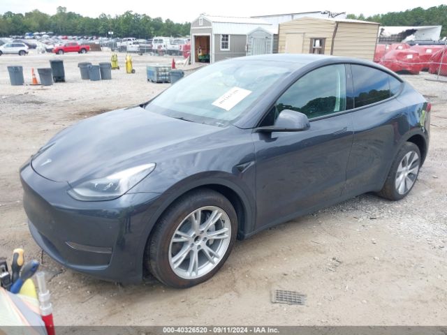 Photo 1 VIN: 7SAYGDED5RF095609 - TESLA MODEL Y 