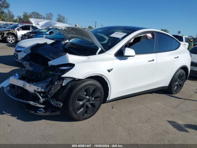 Photo 1 VIN: 7SAYGDED5RF154884 - TESLA MODEL Y 