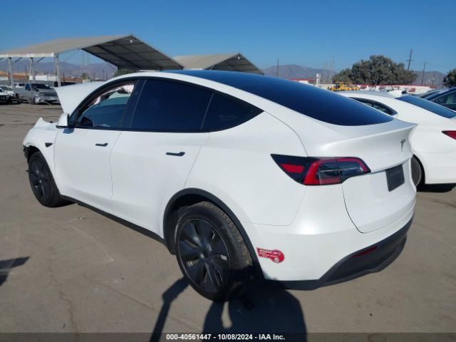 Photo 2 VIN: 7SAYGDED5RF154884 - TESLA MODEL Y 