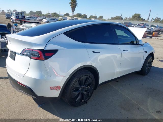 Photo 3 VIN: 7SAYGDED5RF154884 - TESLA MODEL Y 