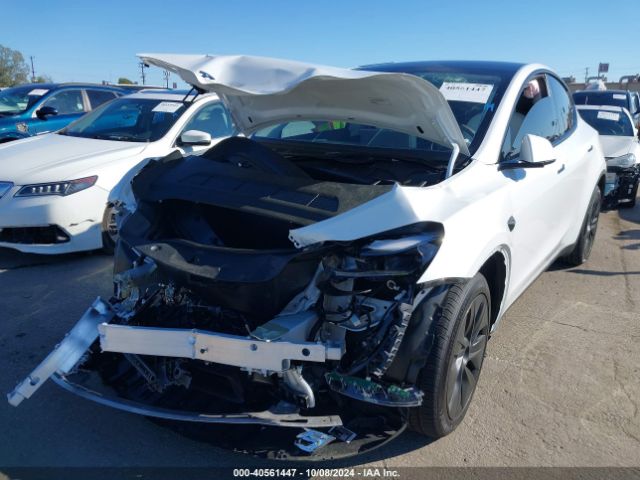 Photo 5 VIN: 7SAYGDED5RF154884 - TESLA MODEL Y 