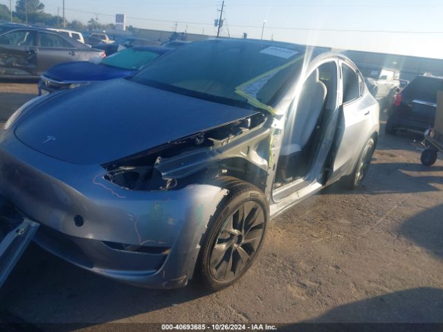 Photo 1 VIN: 7SAYGDED6RA301369 - TESLA MODEL Y 