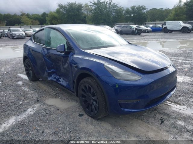 Photo 0 VIN: 7SAYGDED6RF091083 - TESLA MODEL Y 