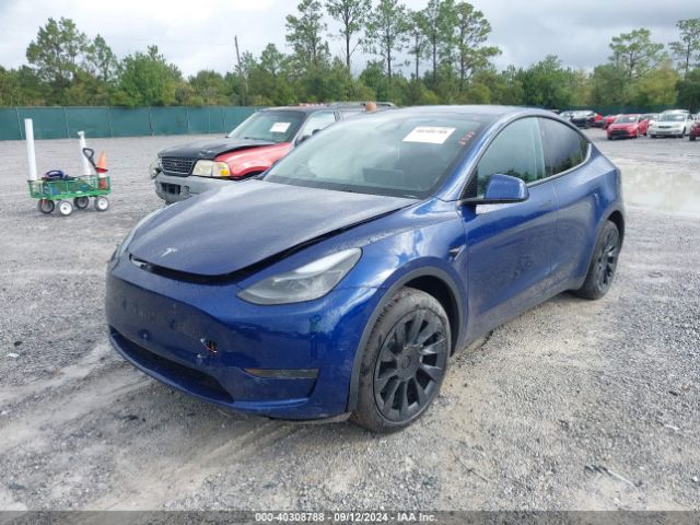 Photo 1 VIN: 7SAYGDED6RF091083 - TESLA MODEL Y 