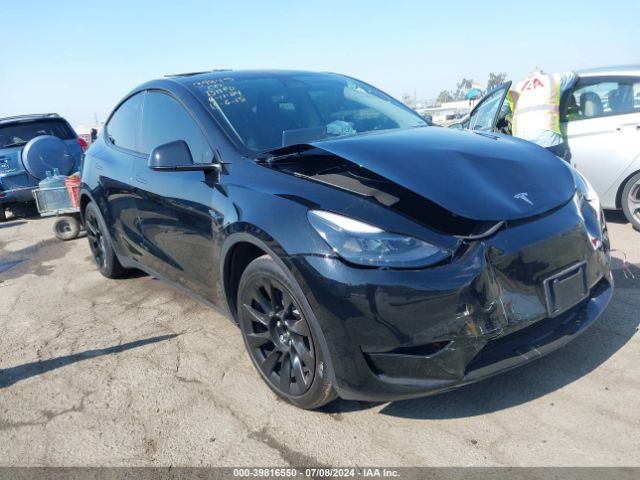 Photo 0 VIN: 7SAYGDED7PF940912 - TESLA MODEL Y 