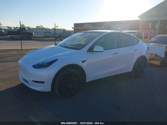 Photo 1 VIN: 7SAYGDED7RF096633 - TESLA MODEL Y 