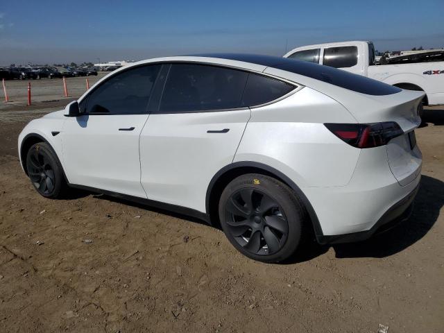 Photo 1 VIN: 7SAYGDED7RF097569 - TESLA MODEL Y 