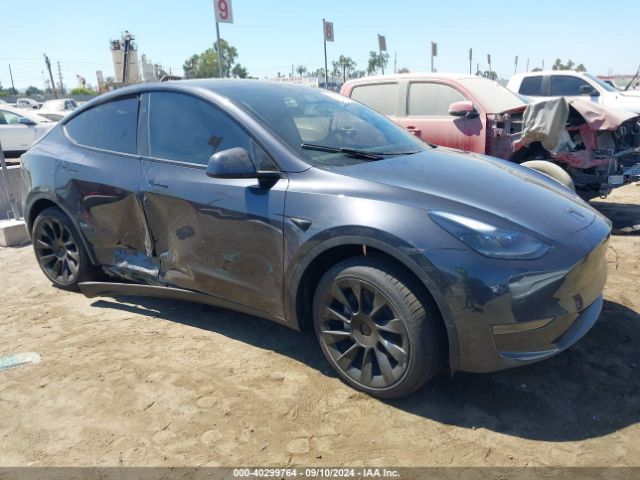 Photo 0 VIN: 7SAYGDED7RF101989 - TESLA MODEL Y 