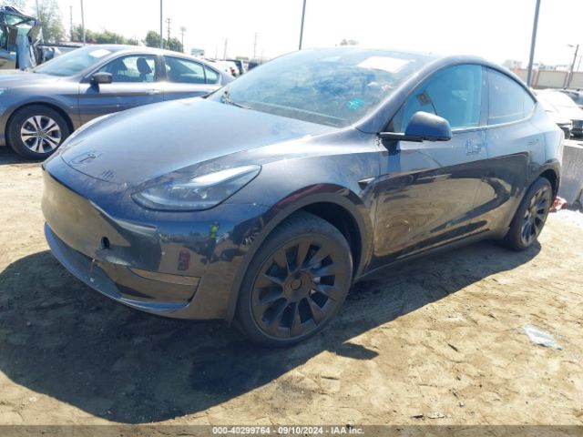 Photo 1 VIN: 7SAYGDED7RF101989 - TESLA MODEL Y 