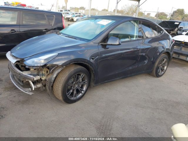 Photo 1 VIN: 7SAYGDED7RF118548 - TESLA MODEL Y 