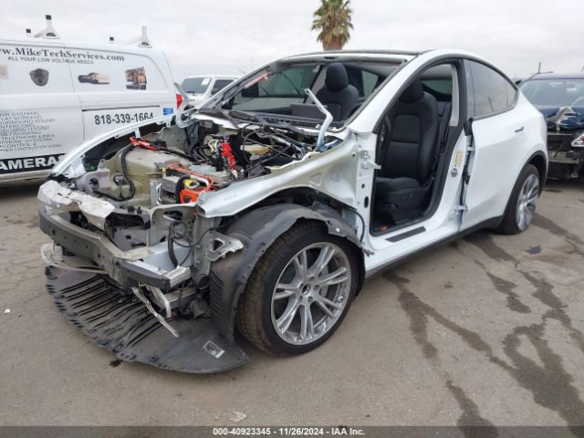 Photo 1 VIN: 7SAYGDED8RF084555 - TESLA MODEL Y 