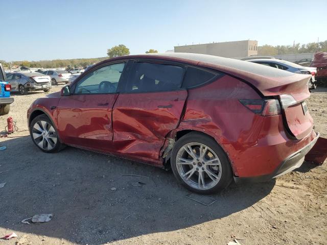 Photo 1 VIN: 7SAYGDEDXRF005354 - TESLA MODEL Y 