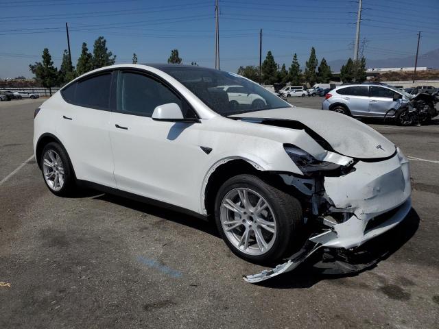 Photo 3 VIN: 7SAYGDEDXRF092091 - TESLA MODEL Y 