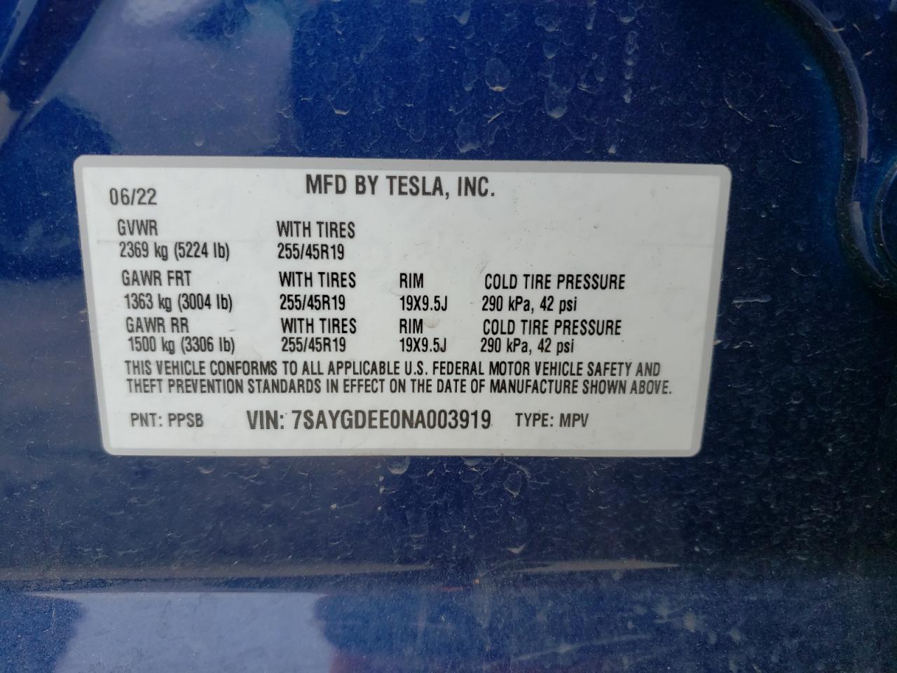 Photo 11 VIN: 7SAYGDEE0NA003919 - TESLA MODEL Y 