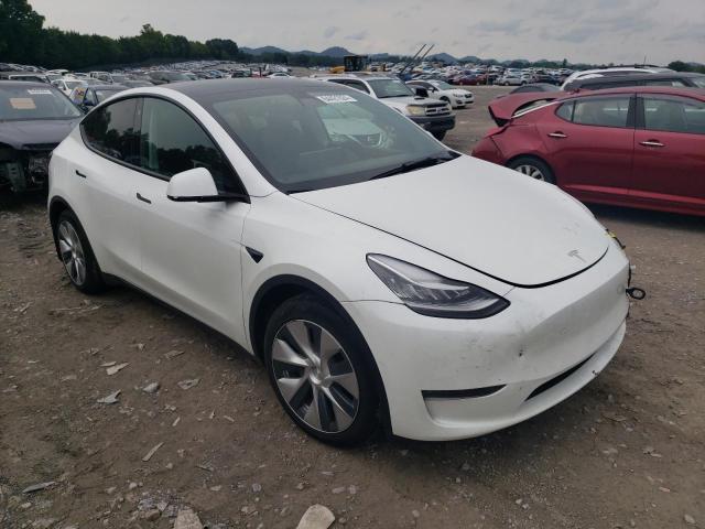 Photo 3 VIN: 7SAYGDEE0NF313944 - TESLA MODEL Y 