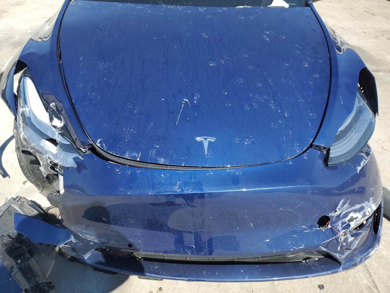 Photo 10 VIN: 7SAYGDEE0NF356650 - TESLA MODEL Y 