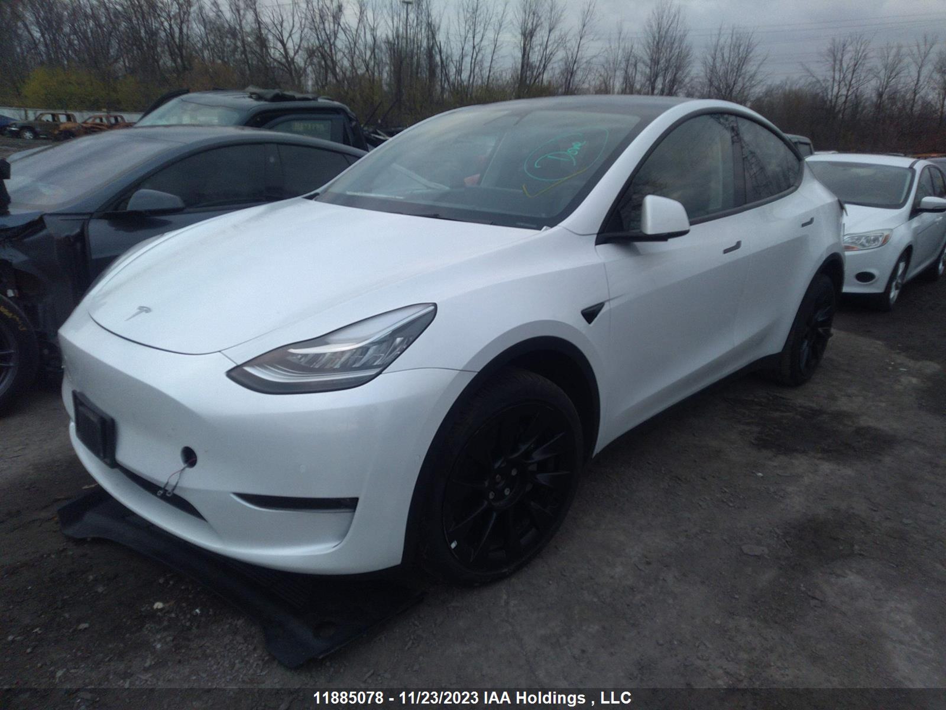 Photo 1 VIN: 7SAYGDEE0NF467117 - TESLA MODEL Y 