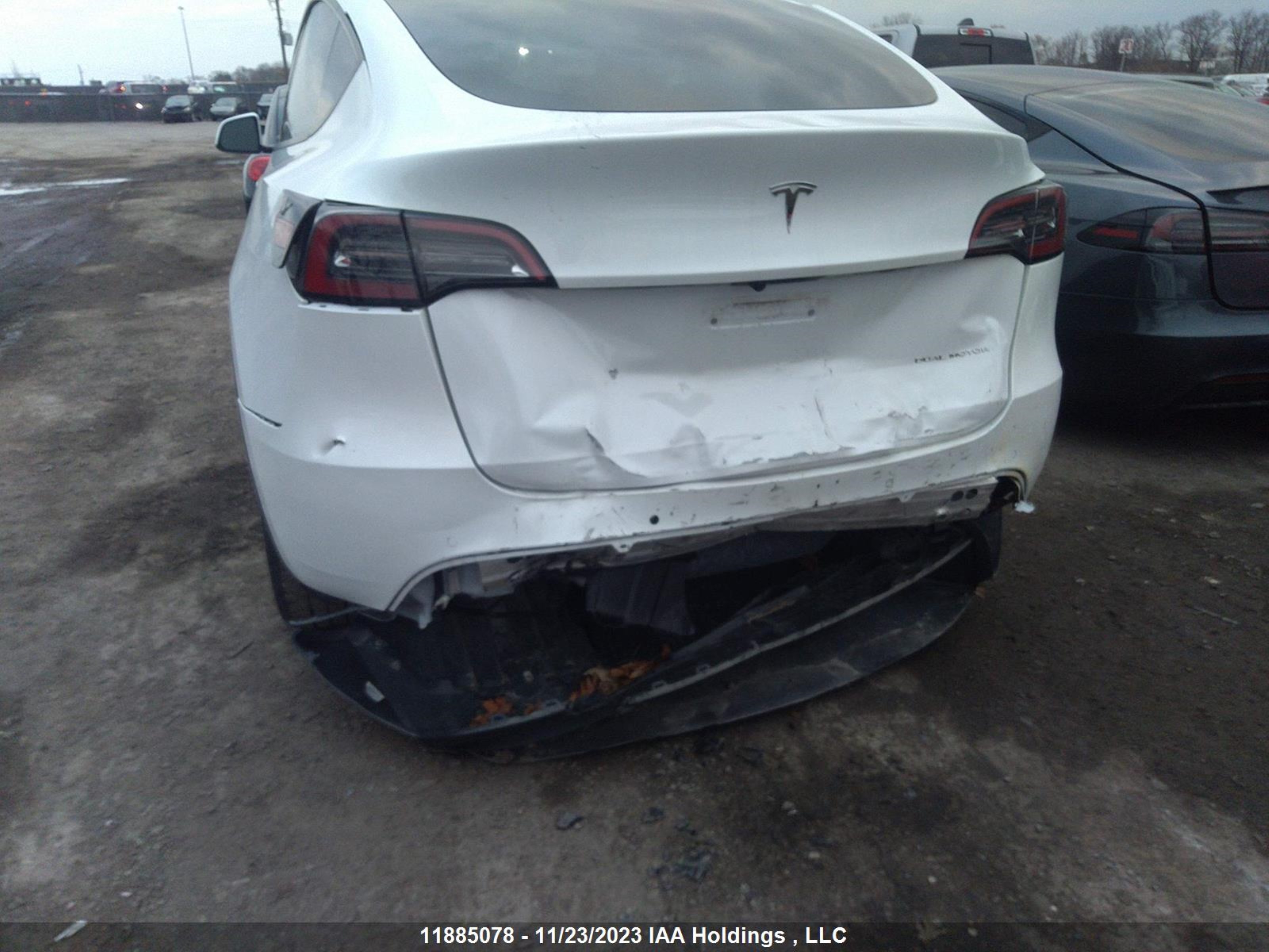 Photo 5 VIN: 7SAYGDEE0NF467117 - TESLA MODEL Y 