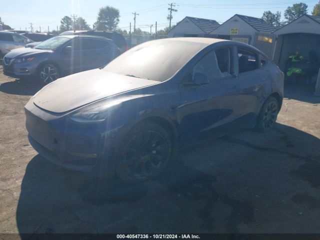 Photo 1 VIN: 7SAYGDEE0NF481051 - TESLA MODEL Y 