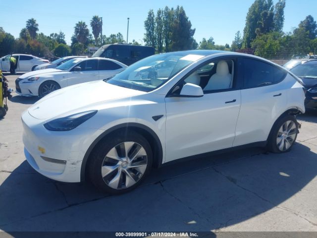 Photo 1 VIN: 7SAYGDEE0NF515487 - TESLA MODEL Y 