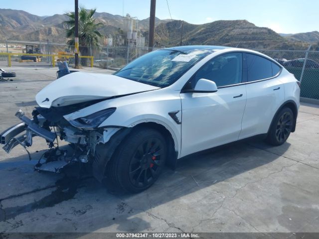 Photo 1 VIN: 7SAYGDEE0PA071706 - TESLA MODEL Y 