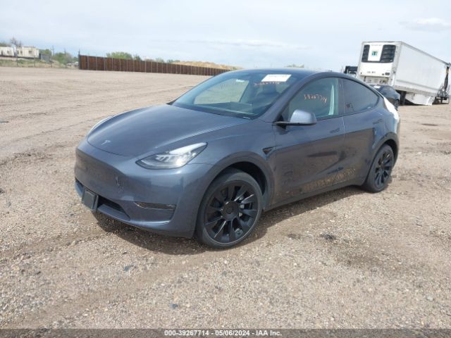 Photo 1 VIN: 7SAYGDEE0PA081748 - TESLA MODEL Y 