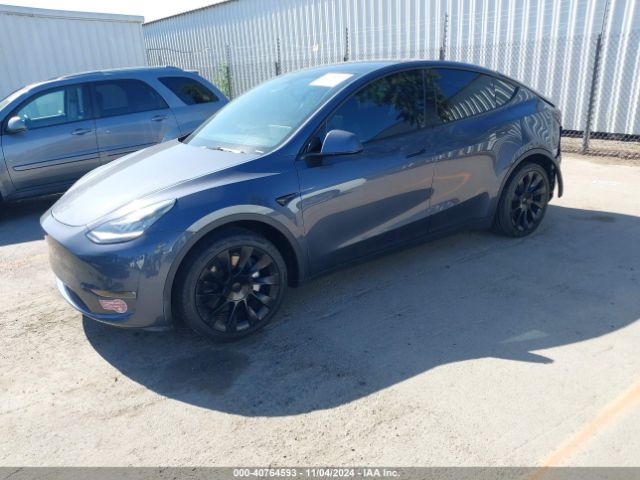 Photo 1 VIN: 7SAYGDEE0PA082169 - TESLA MODEL Y 