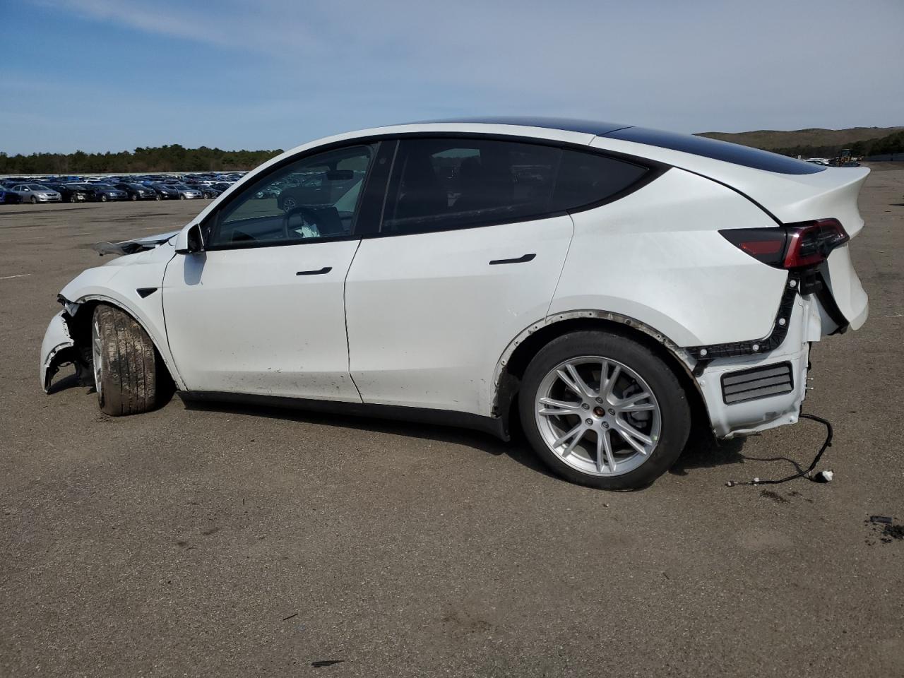 Photo 1 VIN: 7SAYGDEE0PA093219 - TESLA MODEL Y 