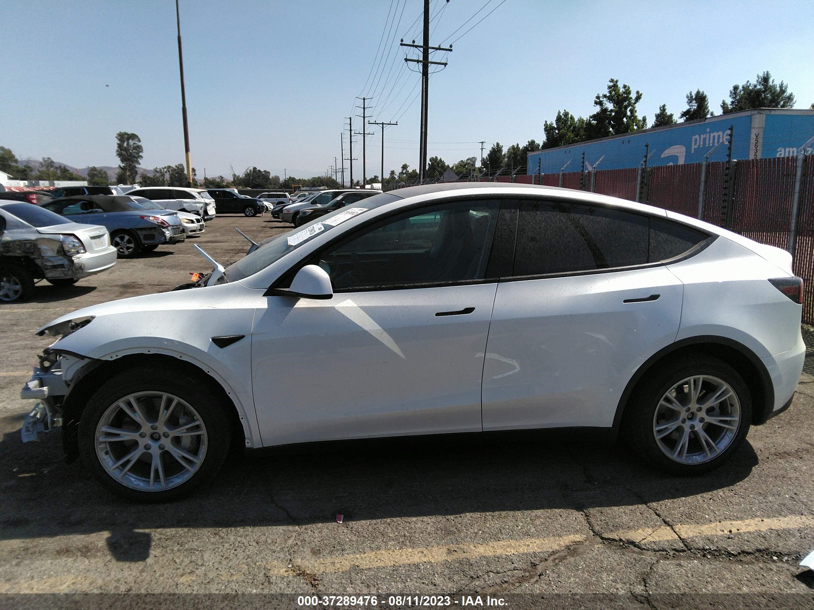 Photo 13 VIN: 7SAYGDEE0PA096380 - TESLA MODEL Y 