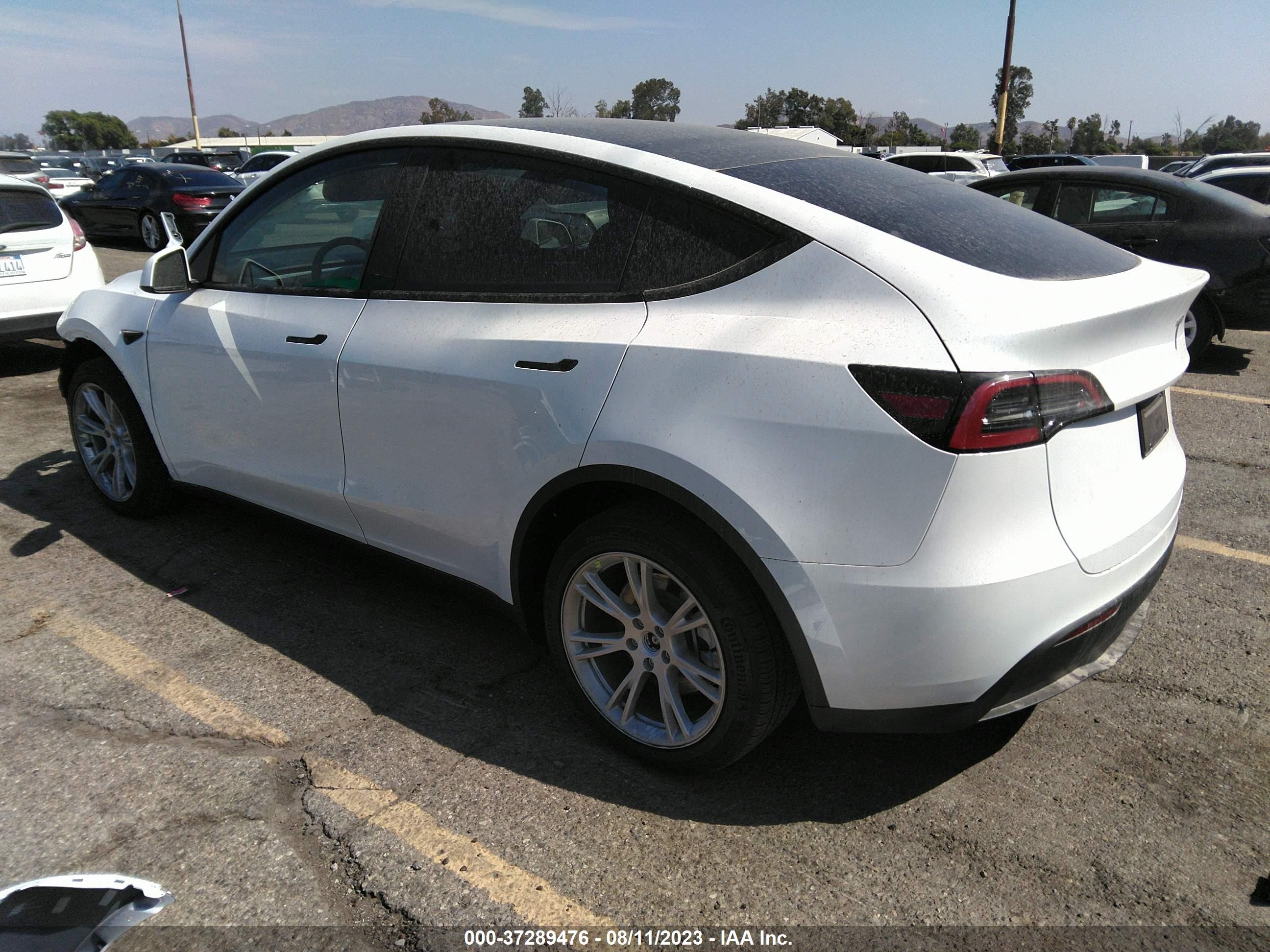 Photo 2 VIN: 7SAYGDEE0PA096380 - TESLA MODEL Y 