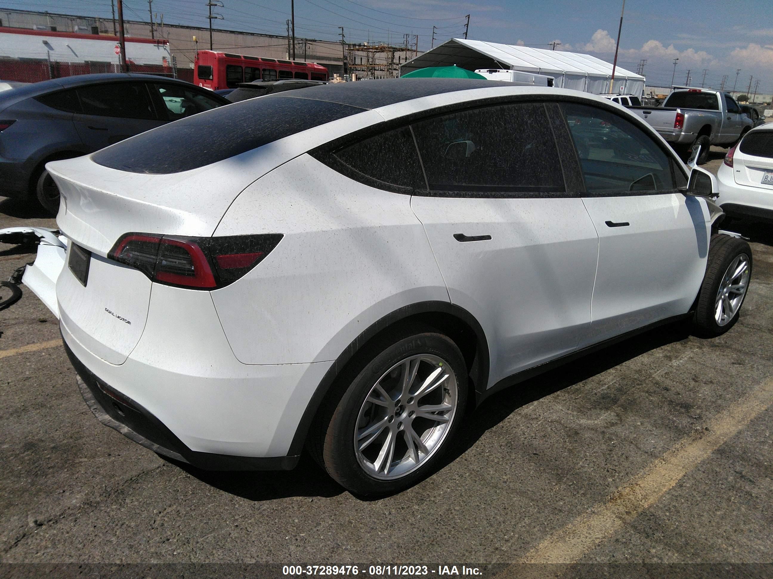 Photo 3 VIN: 7SAYGDEE0PA096380 - TESLA MODEL Y 