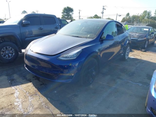 Photo 1 VIN: 7SAYGDEE0PA098663 - TESLA MODEL Y 