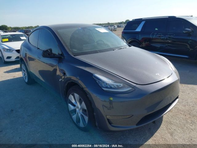 Photo 0 VIN: 7SAYGDEE0PA114053 - TESLA MODEL Y 