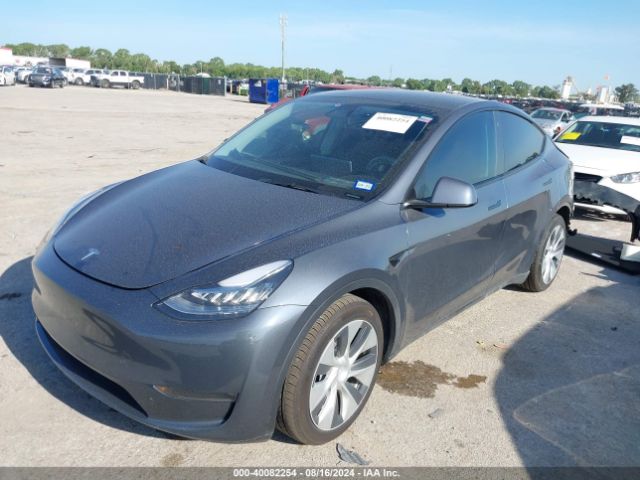 Photo 1 VIN: 7SAYGDEE0PA114053 - TESLA MODEL Y 