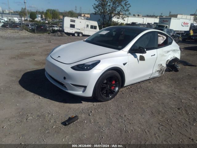 Photo 1 VIN: 7SAYGDEE0PA141270 - TESLA MODEL Y 