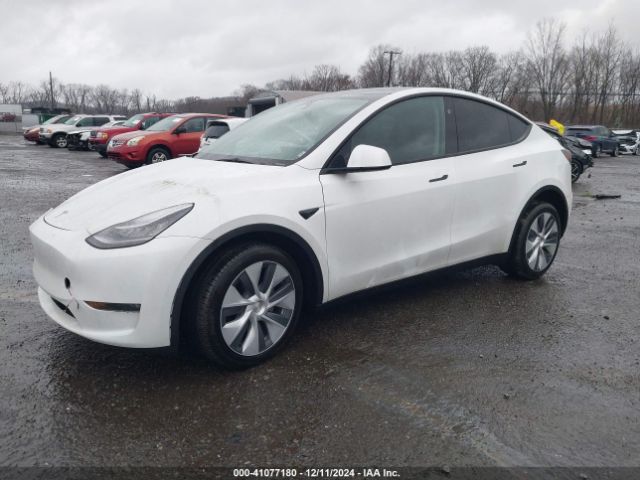 Photo 1 VIN: 7SAYGDEE0PA144654 - TESLA MODEL Y 