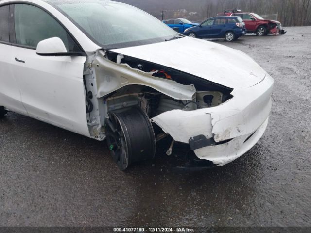 Photo 5 VIN: 7SAYGDEE0PA144654 - TESLA MODEL Y 