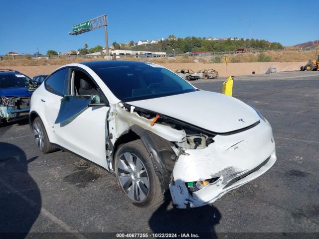 Photo 0 VIN: 7SAYGDEE0PA152351 - TESLA MODEL Y 