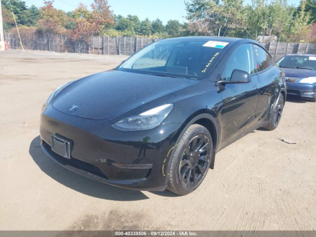 Photo 1 VIN: 7SAYGDEE0PA173183 - TESLA MODEL Y 