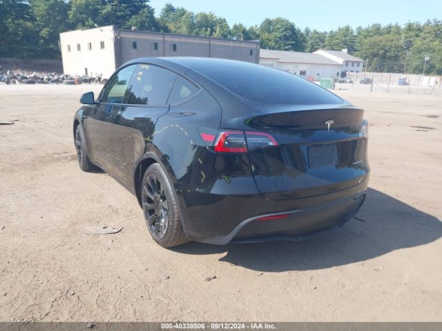 Photo 2 VIN: 7SAYGDEE0PA173183 - TESLA MODEL Y 