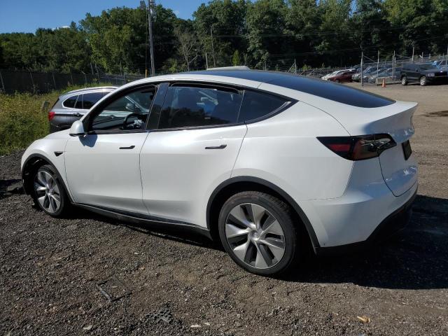 Photo 1 VIN: 7SAYGDEE0PF695668 - TESLA MODEL Y 