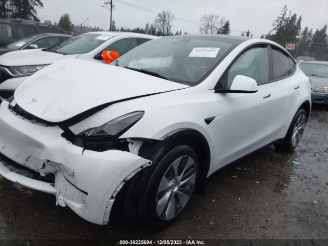 Photo 1 VIN: 7SAYGDEE0PF698537 - TESLA MODEL Y 