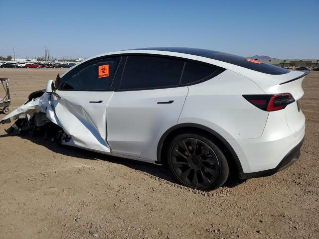 Photo 1 VIN: 7SAYGDEE0PF698554 - TESLA MODEL Y 