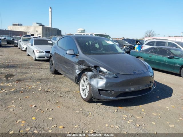 Photo 0 VIN: 7SAYGDEE0PF756369 - TESLA MODEL Y 