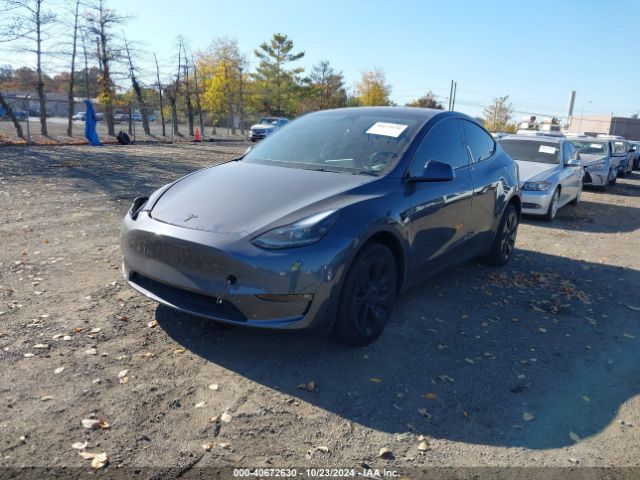 Photo 1 VIN: 7SAYGDEE0PF756369 - TESLA MODEL Y 